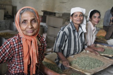 Image for Dalit Candles