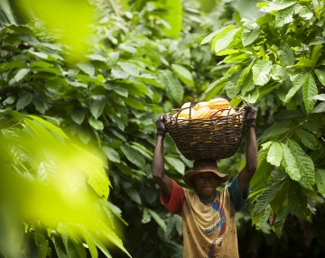 Image for Fanteakwa