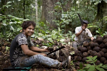 Candela, brazil nut producers in Peru