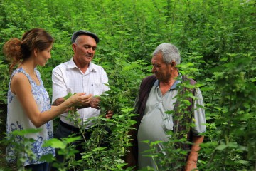 Supporting a green and fair recovery Lemberona CoFounder Elmira Bertagnoli In a field of organic Fairtrade blackcurrants with Rustam Rahimov and Ergashov Bozorboy from smallholder farming group Turob Bobo