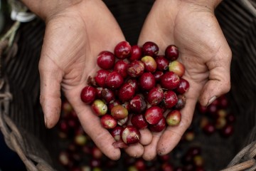Image for Simbi Coffee